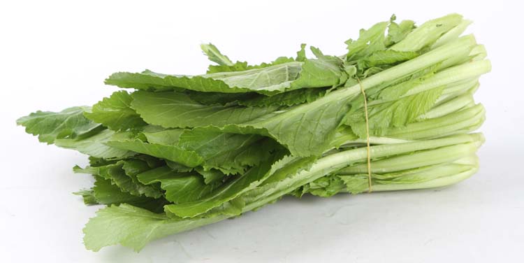 同城蔬菜配送上門怎么保鮮 新鮮直達減少損耗