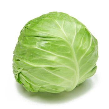 同城蔬菜配送平臺車輛有幾種 新模式 降低成本