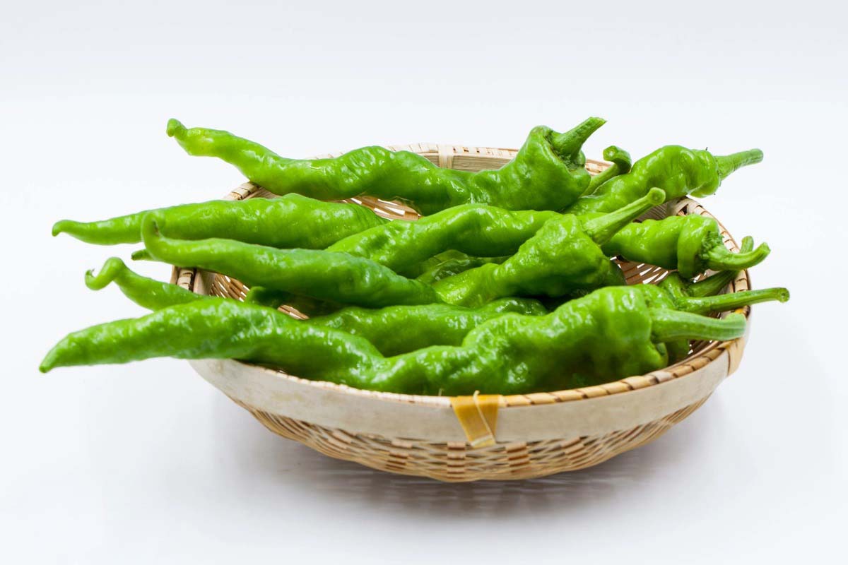 靠譜的蔬菜配送中心怎么保鮮，保鮮技巧與秘密