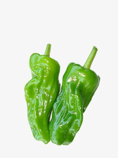 靠譜的蔬菜配送中心哪個靠譜？選對就省錢