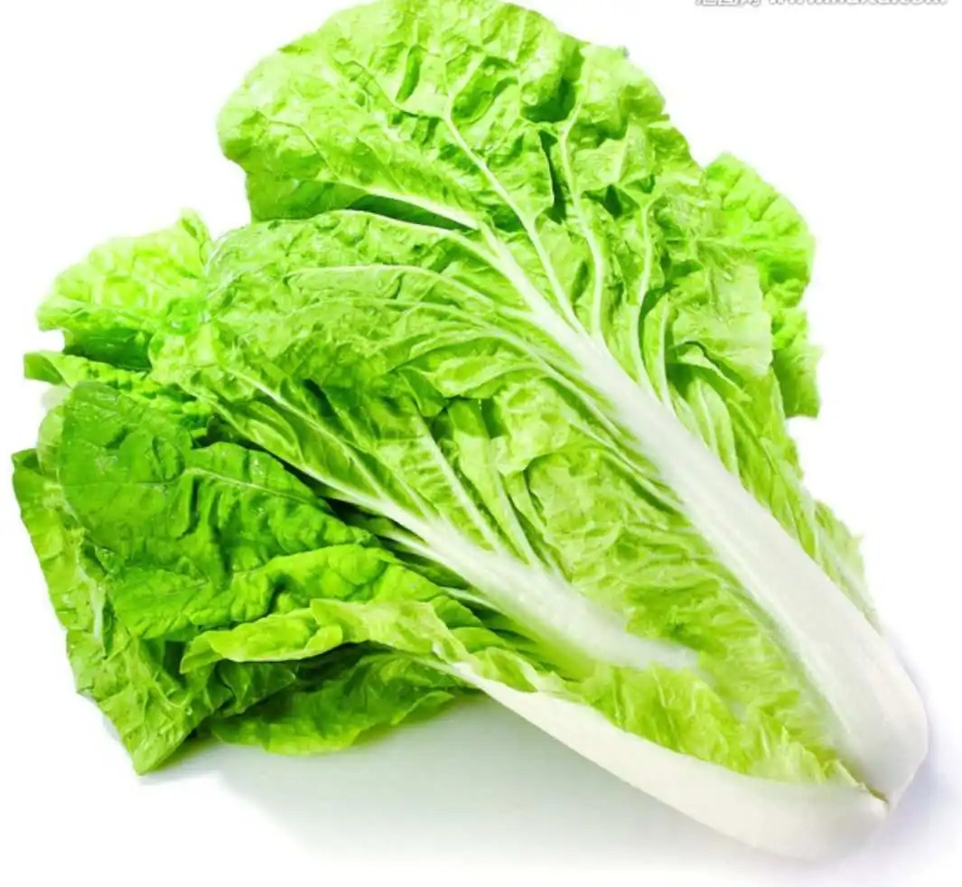 靠譜的蔬菜配送中心服務怎么樣 高效便捷配送