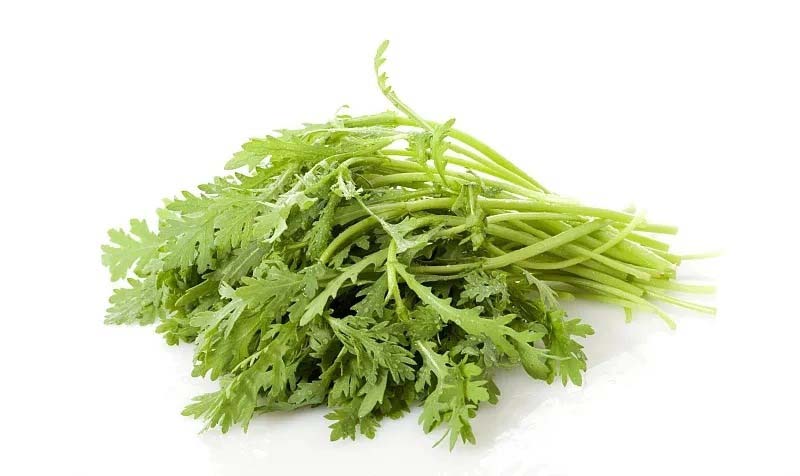 深圳蔬菜配送企業哪里找 品質配送 挖掘本地優選