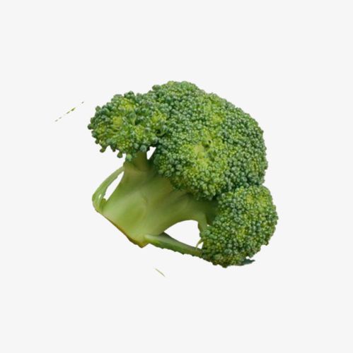 深圳蔬菜配送園區在哪里 新鮮直達市民餐桌