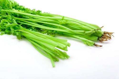 深圳蔬菜配送哪里好找點 高效便捷省錢