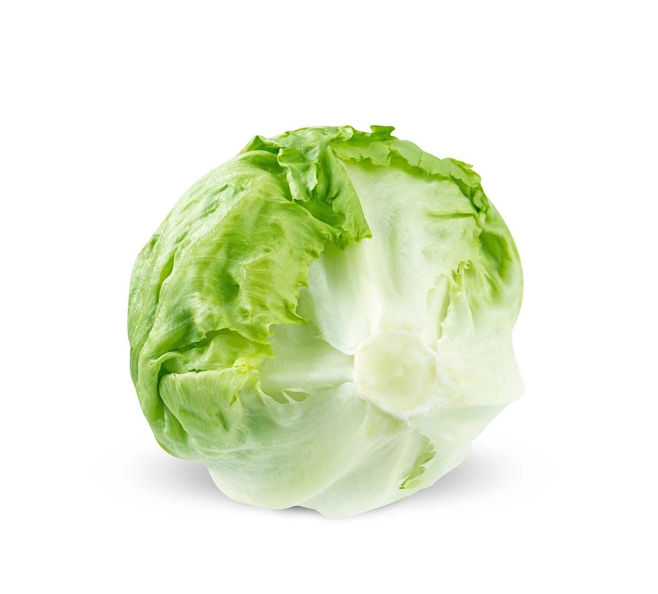 深圳蔬菜配送倉在哪里 便捷高效配送