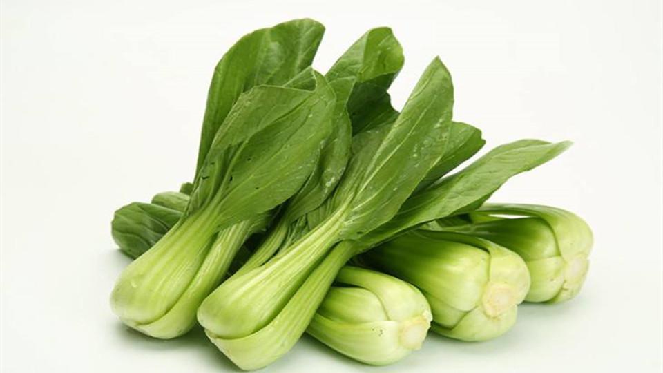 深圳蔬菜配送哪里最快 速度最快配送方案