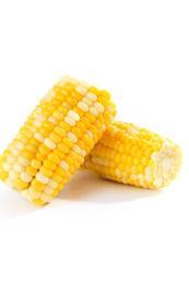 深圳蔬菜配送哪里強：快速便捷配送，新鮮直達餐桌