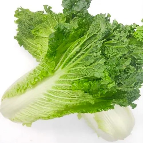 深圳蔬菜配送網站哪里好 選對省心又新鮮